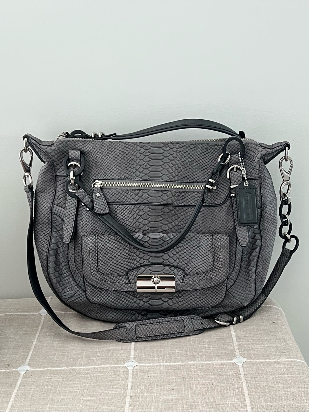 Coach Kristin Gray Python-Embossed  Bag with Silver Hardware F12938